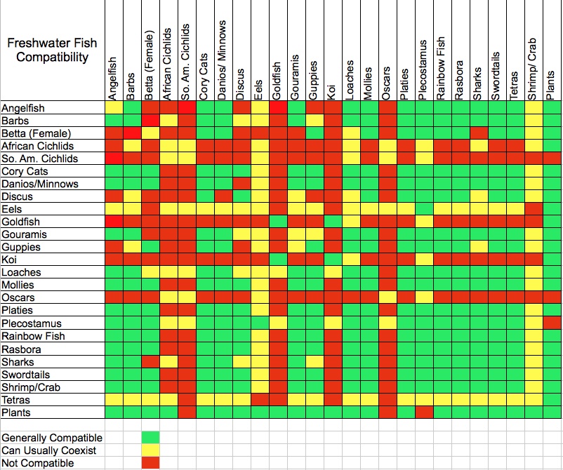 На сколько совместимы рыбы. Таблица совместимости рыбок. Таблица совместимости аквариумных рыбок. Балу рыбка аквариумная таблица совместимость. Акулий балу аквариумная рыбка совместимость.