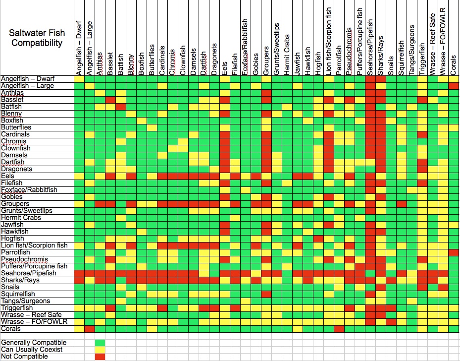 На сколько совместимы рыбы