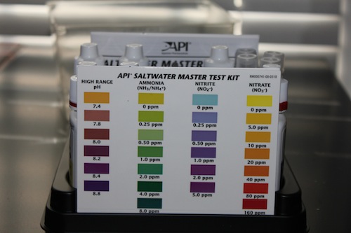 Saltwater Aquarium Levels Chart